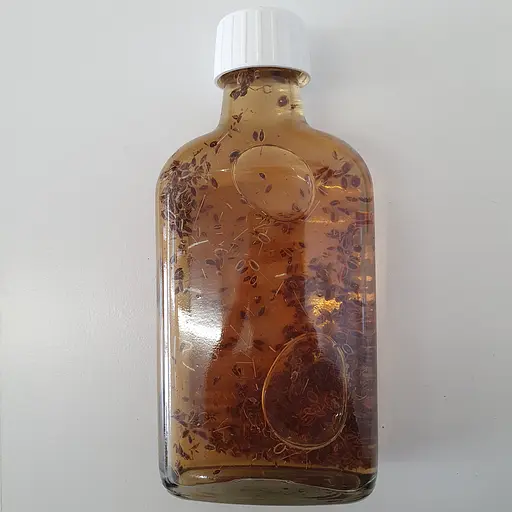 Настойка на семенах укропа 200 мл - фото 2