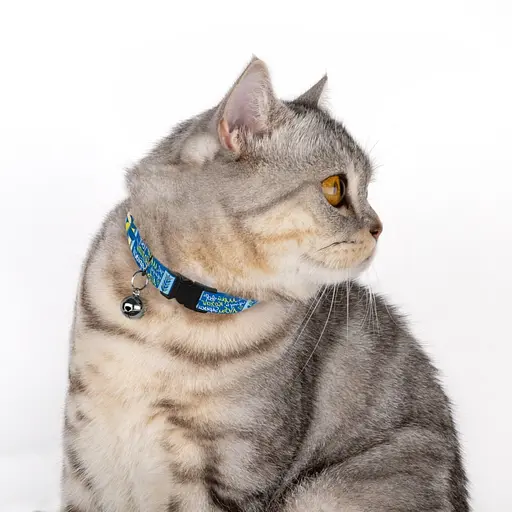 Нашийник для котів Барксі Urban патріотичний Мрія - фото 4