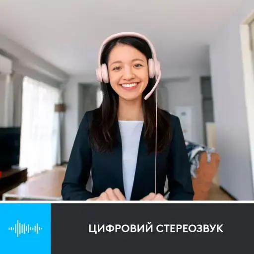 Гарнитура Logitech USB H390 (981-001281) Rose (6857748) - фото 6