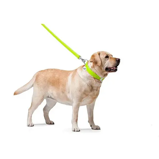 Повідець для собак Waudog Glamour шкіряний, салатовий - фото 3