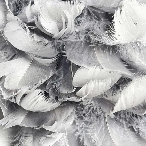 Настінний світильник із натурального сірого пірʼя Арт. WJU 83 GR (grey) Line F - фото 6