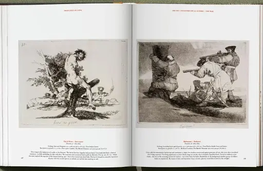 Goya. The Complete Prints - фото 18