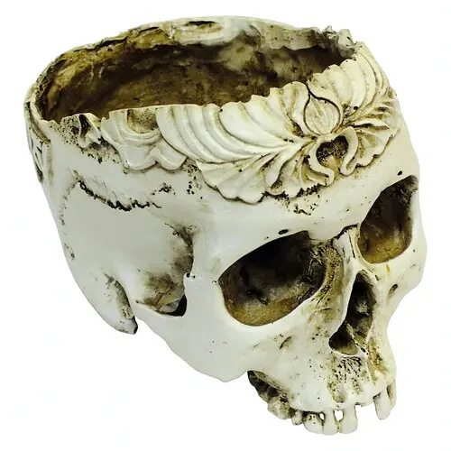 Череп полый - фото 1