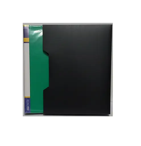 Папка з 80 файлами А4 E30608 Economix у пластиковому боксі (4044572306081) Зелений - фото 1