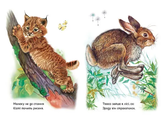 Книга Лісові звірята. Малятам про звіряток. Автор - Григорій Меламед (Ранок) - фото 2