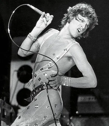 The Great History of rock music: From Elvis Presley to the Present Day - фото 6