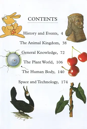 Tell Me About? - фото 2