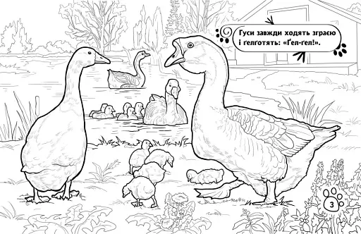 Розмальовка з тваринами. Тварини на фермі - фото 3