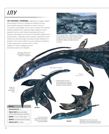 Аватар. Шлях води. Ілюстрований словник - фото 4