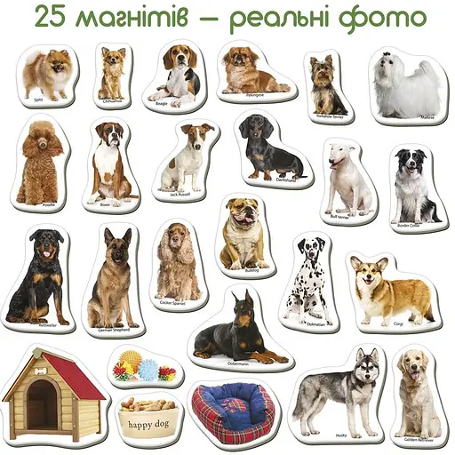 Детский развивающий набор магнитов Породы собак ML4031-20EN 24 фотомагниты - фото 2