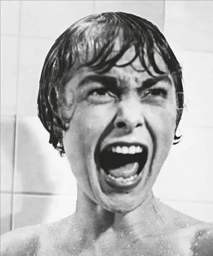 The Film Book. A Complete Guide to the World of Cinema - фото 7