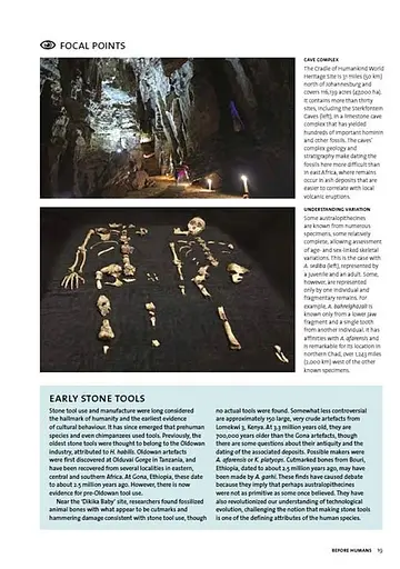 Archaeology. The Whole Story - фото 3