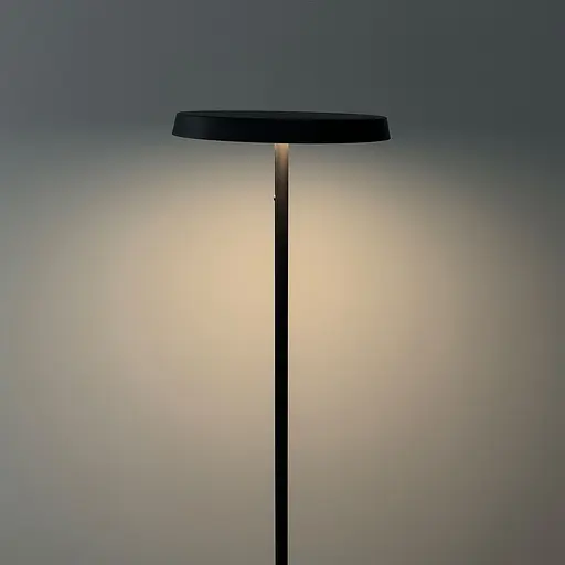 Торшер Skarlat RLL8122 24W BR 4000K - фото 5