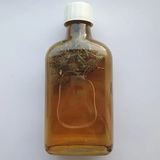 Водна настоянка на траві миколайчики синеголовник 200 мл - фото 2