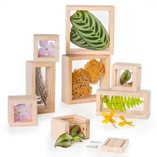 Набор Guidecraft Natural Play Сокровища в прозрачных ящиках G3084 - фото 1