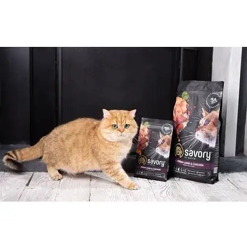 Сухой корм Savory для стерилизованных кошек со свежим ягненком и курицей 2 кг - фото 5