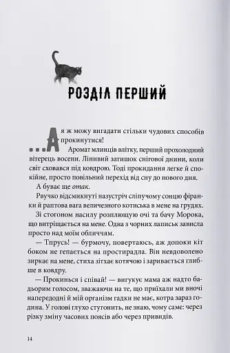 Міст душ - фото 2