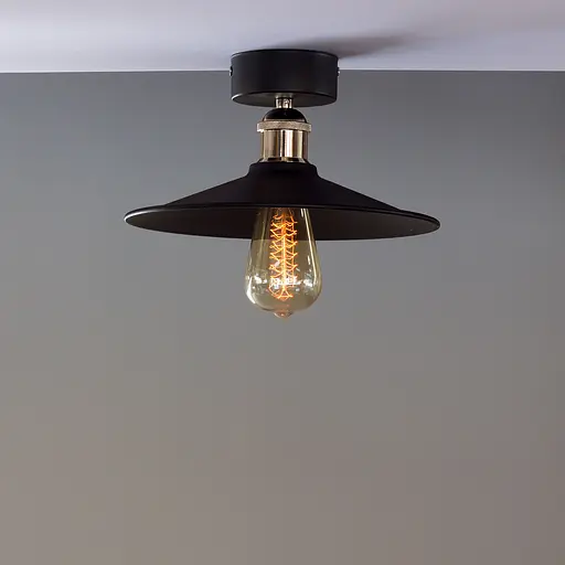 Світильник LS 1028-260-1L - фото 1