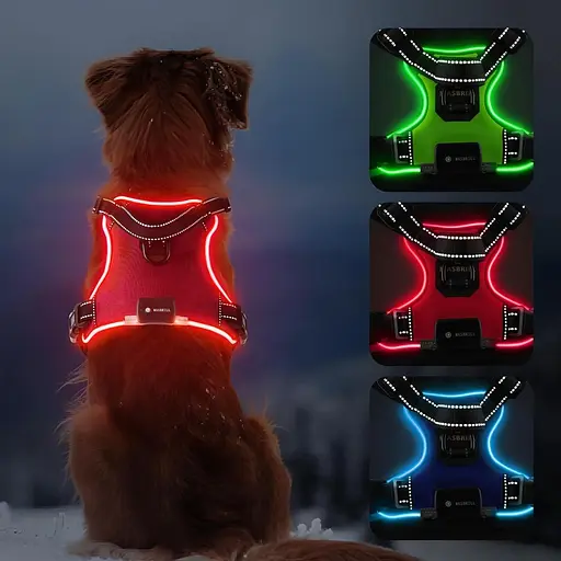 MASBRILL Led Dog Harness - перезаряджається шлейка для собак, що світиться, що світиться і світловідбивна, не тягне, регульована ш