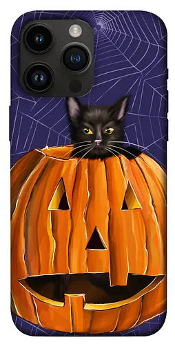 TPU чохол Cat and pumpkin - фото 1