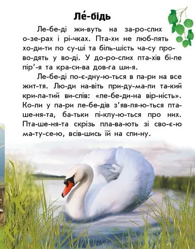 Читаю про Україну. Тварини річок та морів - фото 7