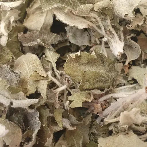 100 г айва лист сушеный