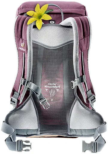 Рюкзак Deuter Zugspitze 22 SL Aubergine-Lion (1052-3430016 5607) - фото 2