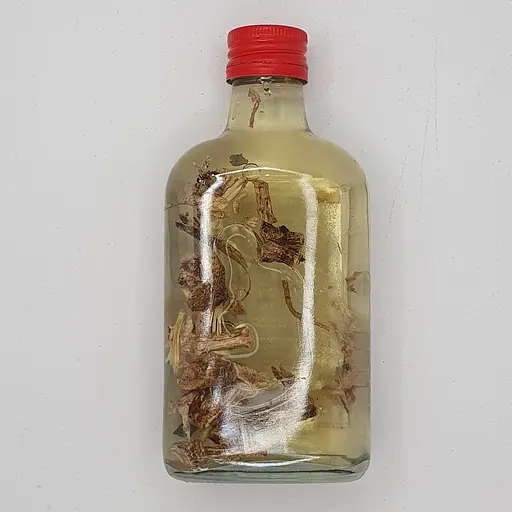 Настойка на корне дягиля 200 мл - фото 2