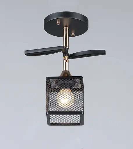 Потолочный светильник B N5708/1 BK+FGD