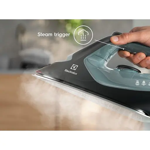 Праска ELECTROLUX E8SI2-6OG - фото 4