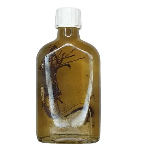 Водная настойка на корне эхинацеи 200 мл - фото 2