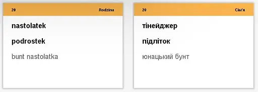 Настольная игра English Student Карточки для изучения разговорного польского языка English Student (укр.) (39122656) - фото 2