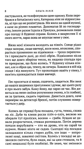 Квіти цикорію - фото 6