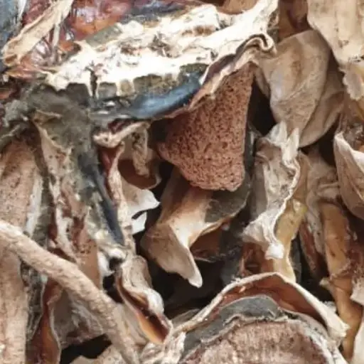 100 г грибы веселка сушеные - свежий урожай