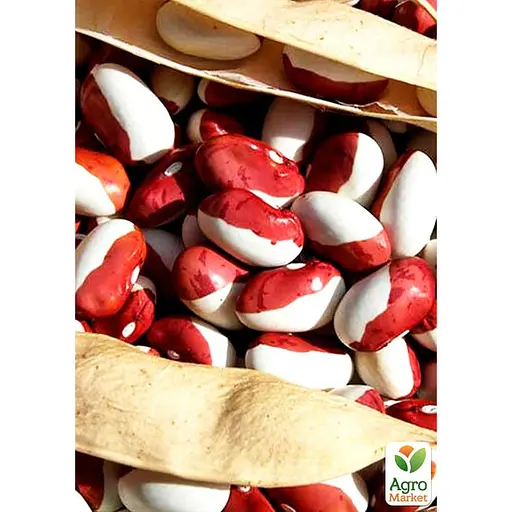 Квасоля на сухе зерно "Суміш кращих популярних сортів" ТМ "Весна"  15г (45536) - фото 2