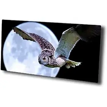 Обігрівач склокерамічний HGlass IGH 6012 F Basic