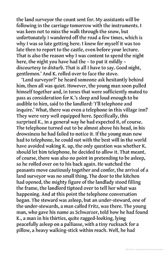 The Castle - фото 4