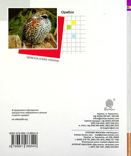 Математика. 2 клас. Діагностичні роботи - фото 2