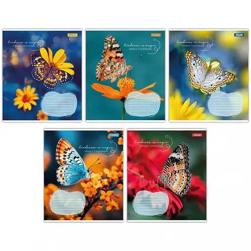 Тетради ученические 18 листов клетка 1B Butterfly, 25 шт. в упаковке