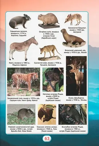 Ви маєте це знати. Світ звірів - фото 4