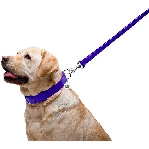 Поводок для собак Waudog Glamour кожаный, фиолетовый - фото 5