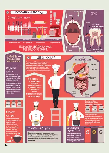 Крутезна інфографіка : Анатомія - фото 14
