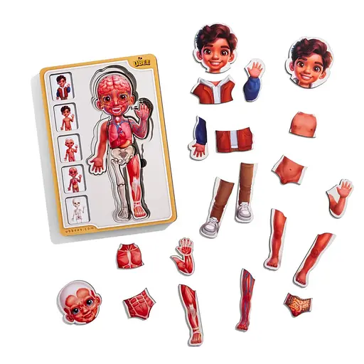 Дерев'яний пазл-вкладиш "Анатомія людини - хлопчик-2" Ubumblebees (ПСД261) PSD261 будова тіла - фото 3