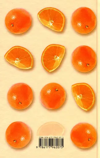 Оранжевая девочка - Юстейн Гордер - фото 2