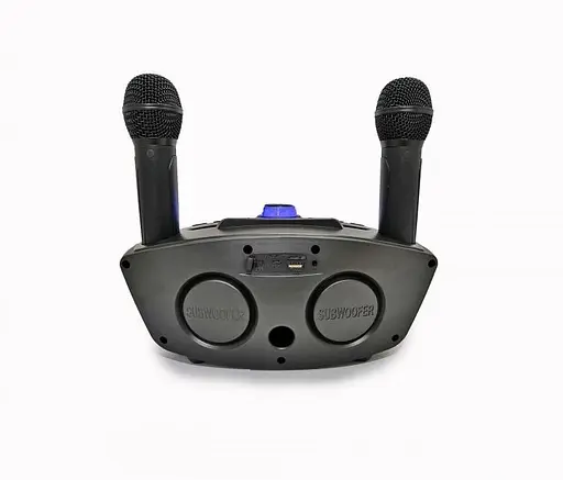 Портативная караоке система SDRD SD-306 с колонкой и двумя микрофонами - фото 3