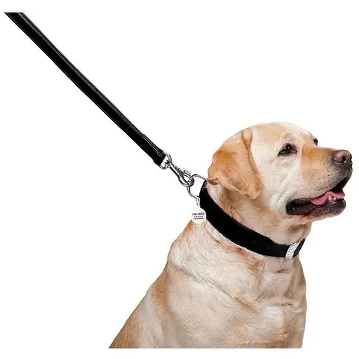 Повідець для собак Waudog Glamour шкіряний, чорний - фото 4