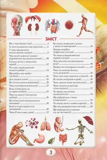 Ви маєте це знати. Тіло людини - фото 4