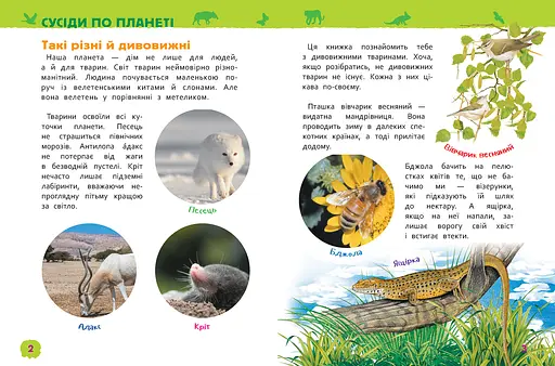 Дивовижні тварини. Моя перша енциклопедія (121234) - фото 3