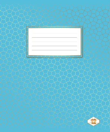 Зошити учнівські 12 аркушів коса лінія Тетрада Фоновий шкільний, 25 шт. в упаковці