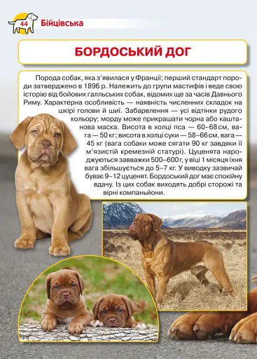 Енциклопедія. Собаки - фото 2